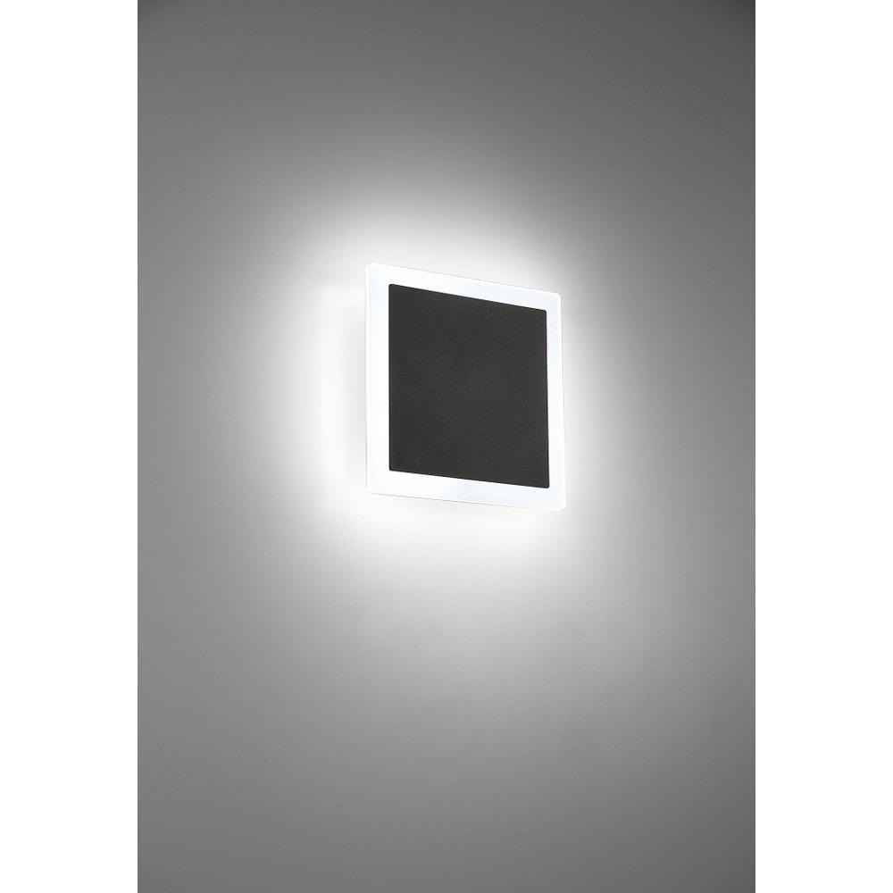 79-BEL-3109346