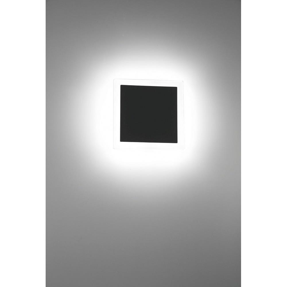 79-BEL-3109346