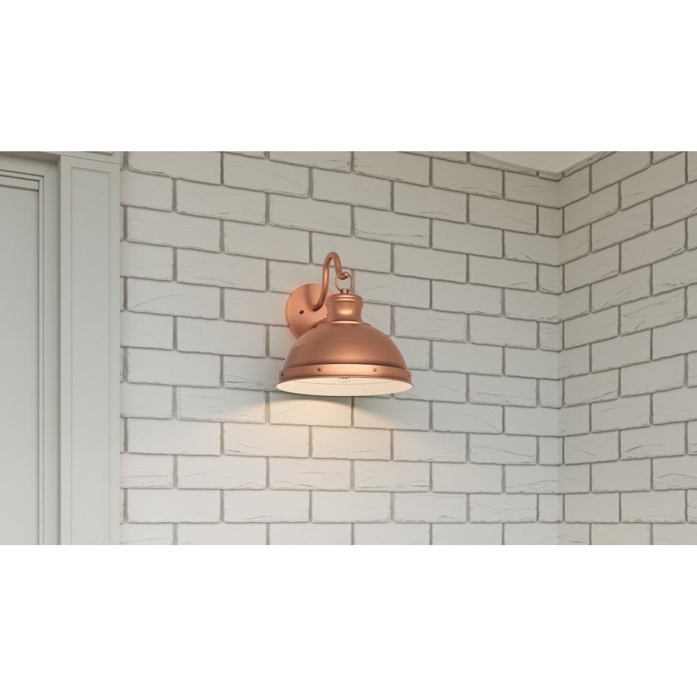 71-BEL-4961698