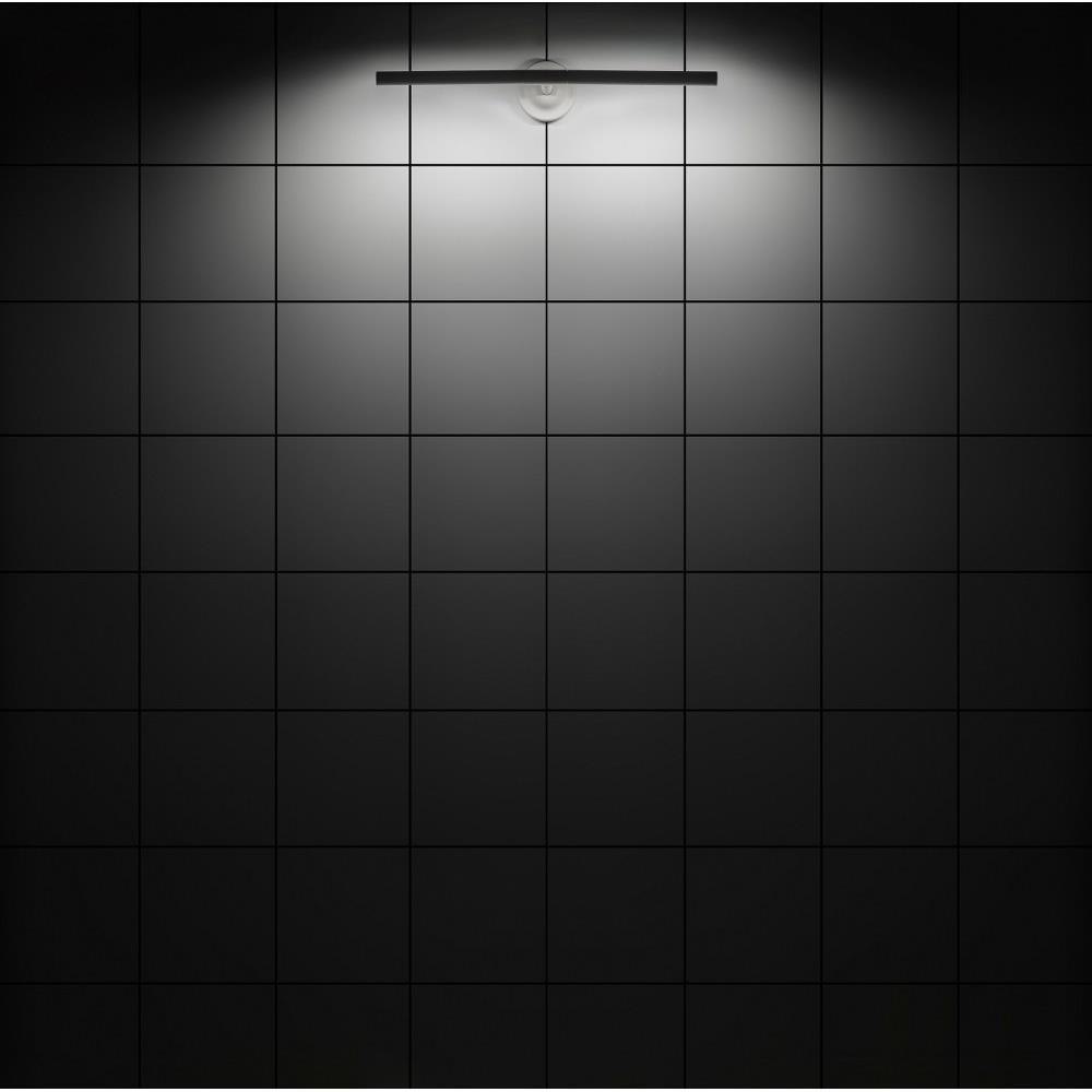81-BEL-4852521