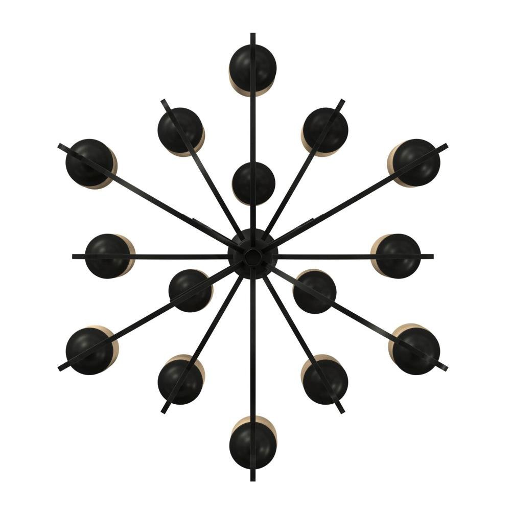 81-BEL-2986223