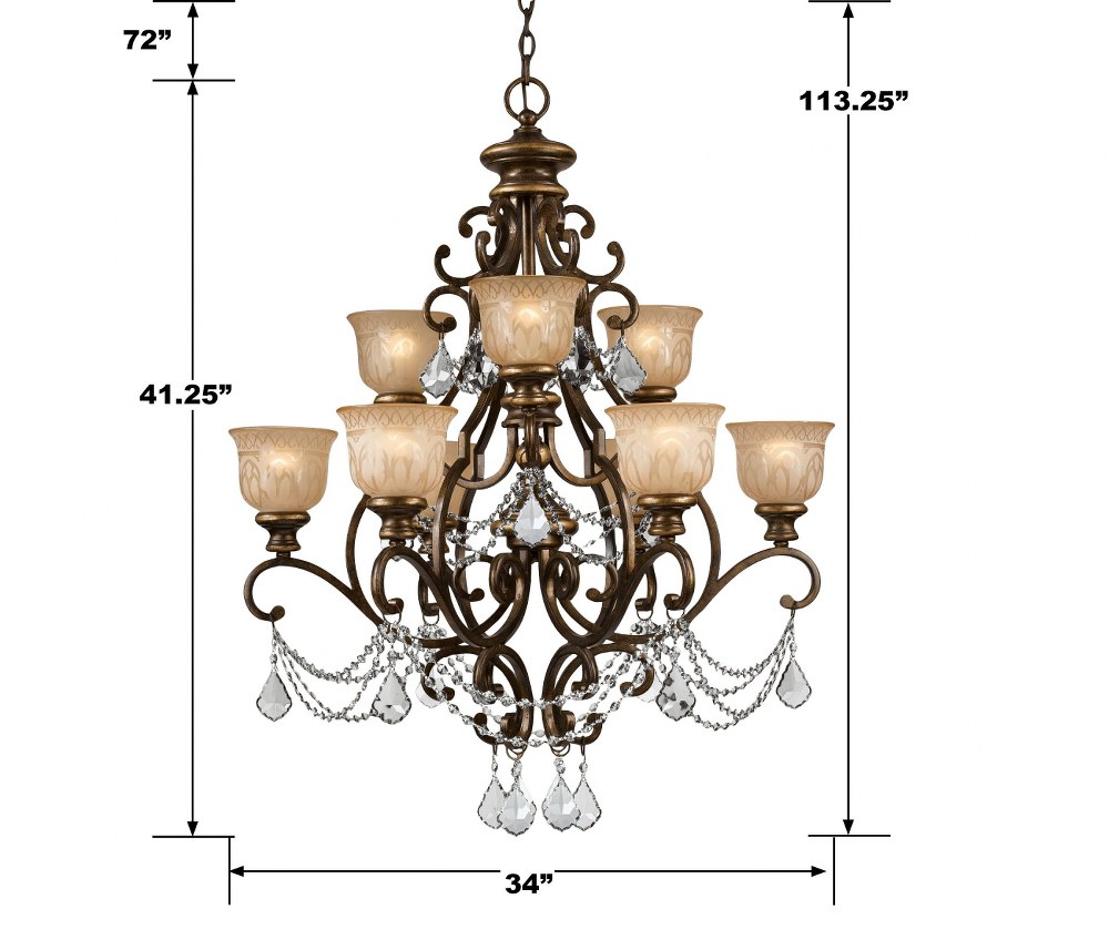 49-BEL-1901312
