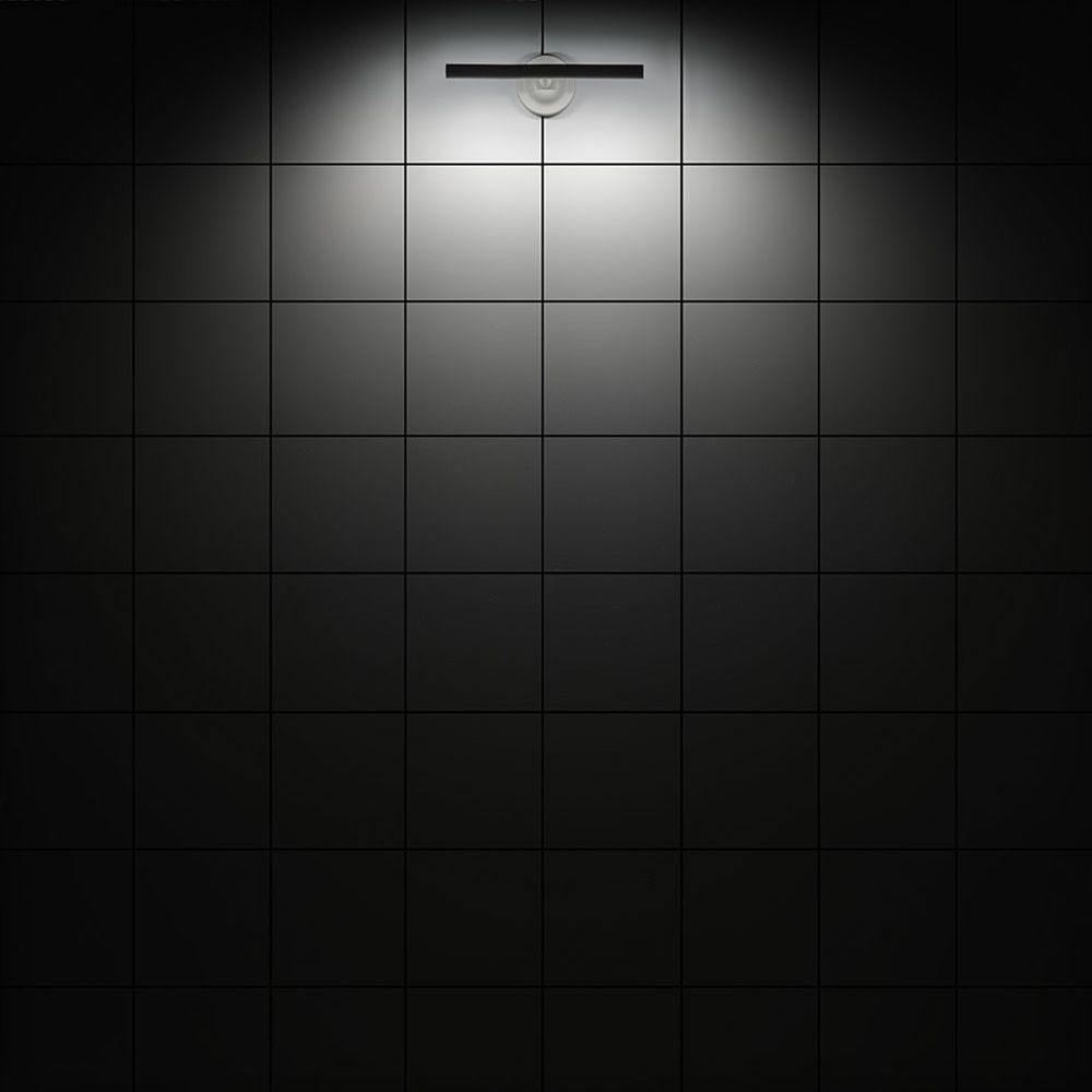 81-BEL-4530484