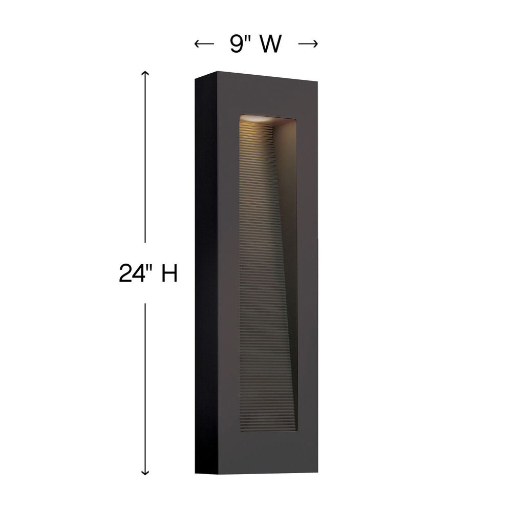 81-BEL-2986648