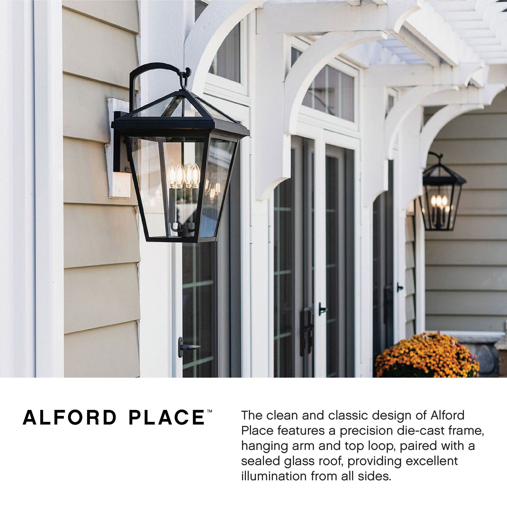81-BEL-4614408