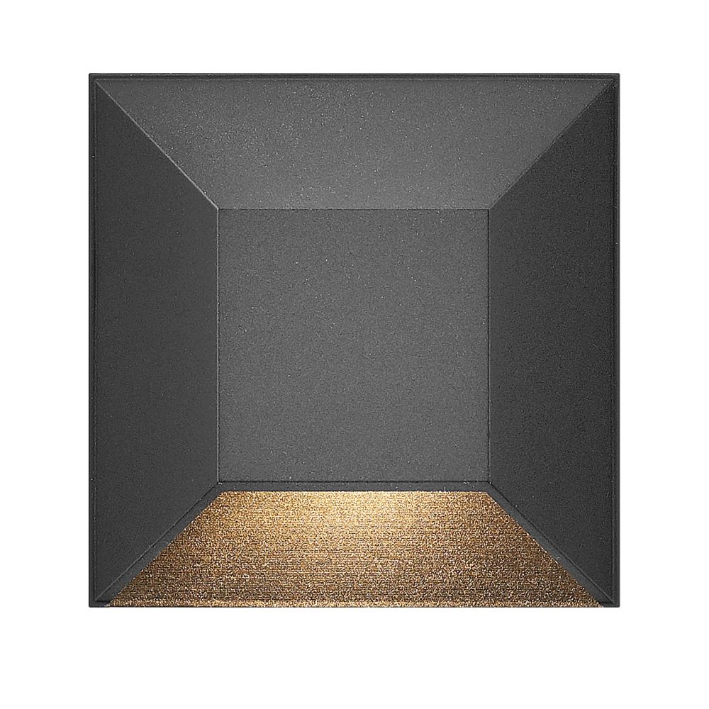 81-BEL-3172984