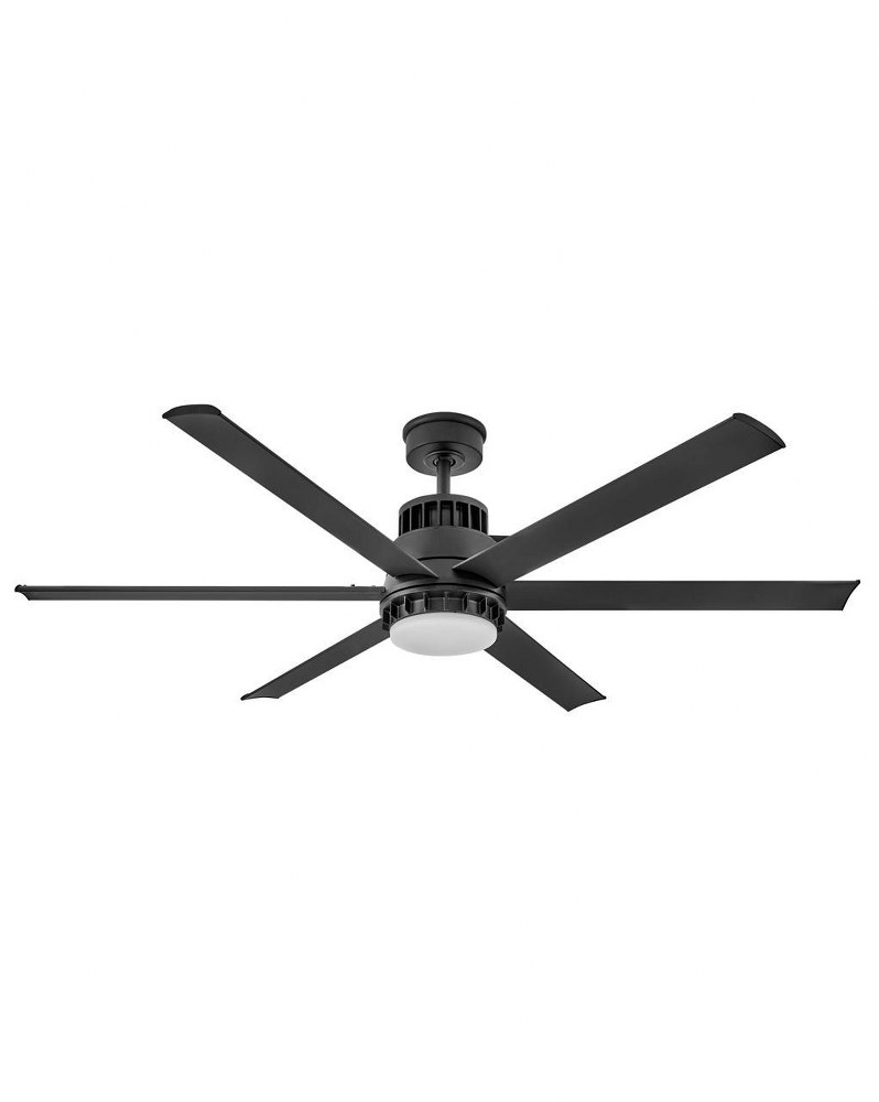 81-BEL-4948109