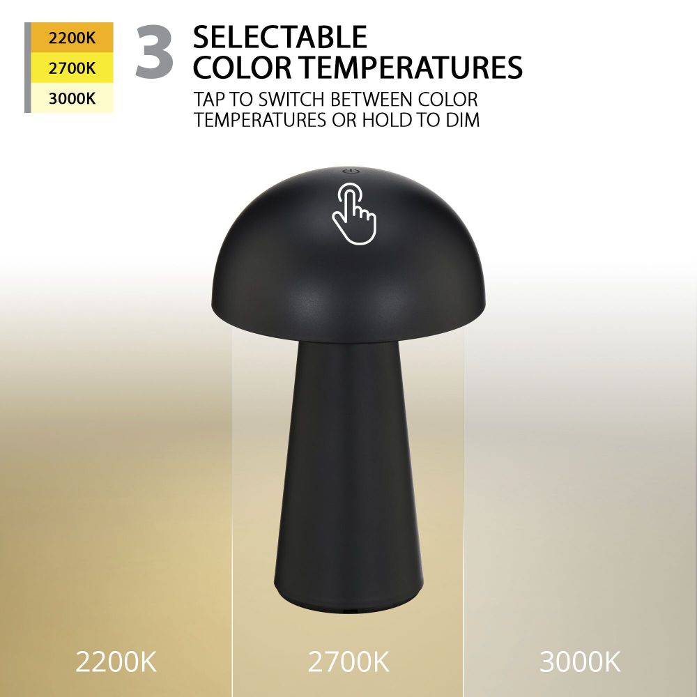 2470-BEL-5302775