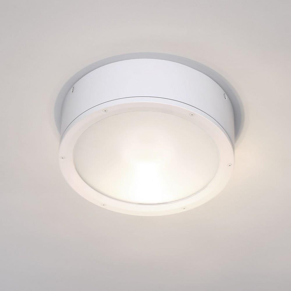 156-BEL-1864998